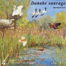 The Wild Danube