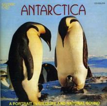 Portrait in Wildlife and Natural Sound, A - Antarctica