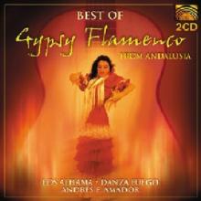 Best Of Gypsy Flemenco